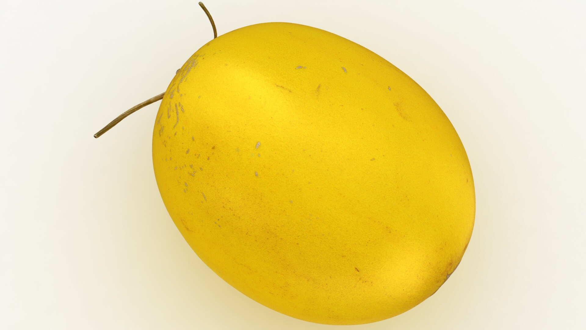 Golden Cantaloupe 3D Model