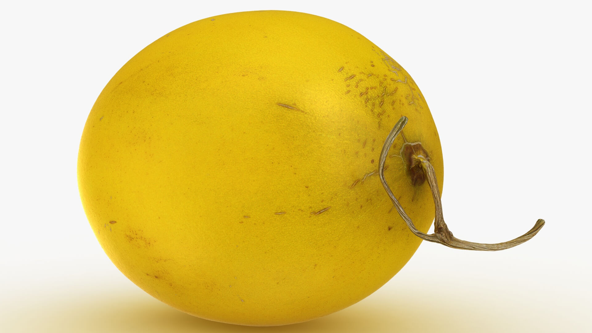 Golden Cantaloupe 3D Model