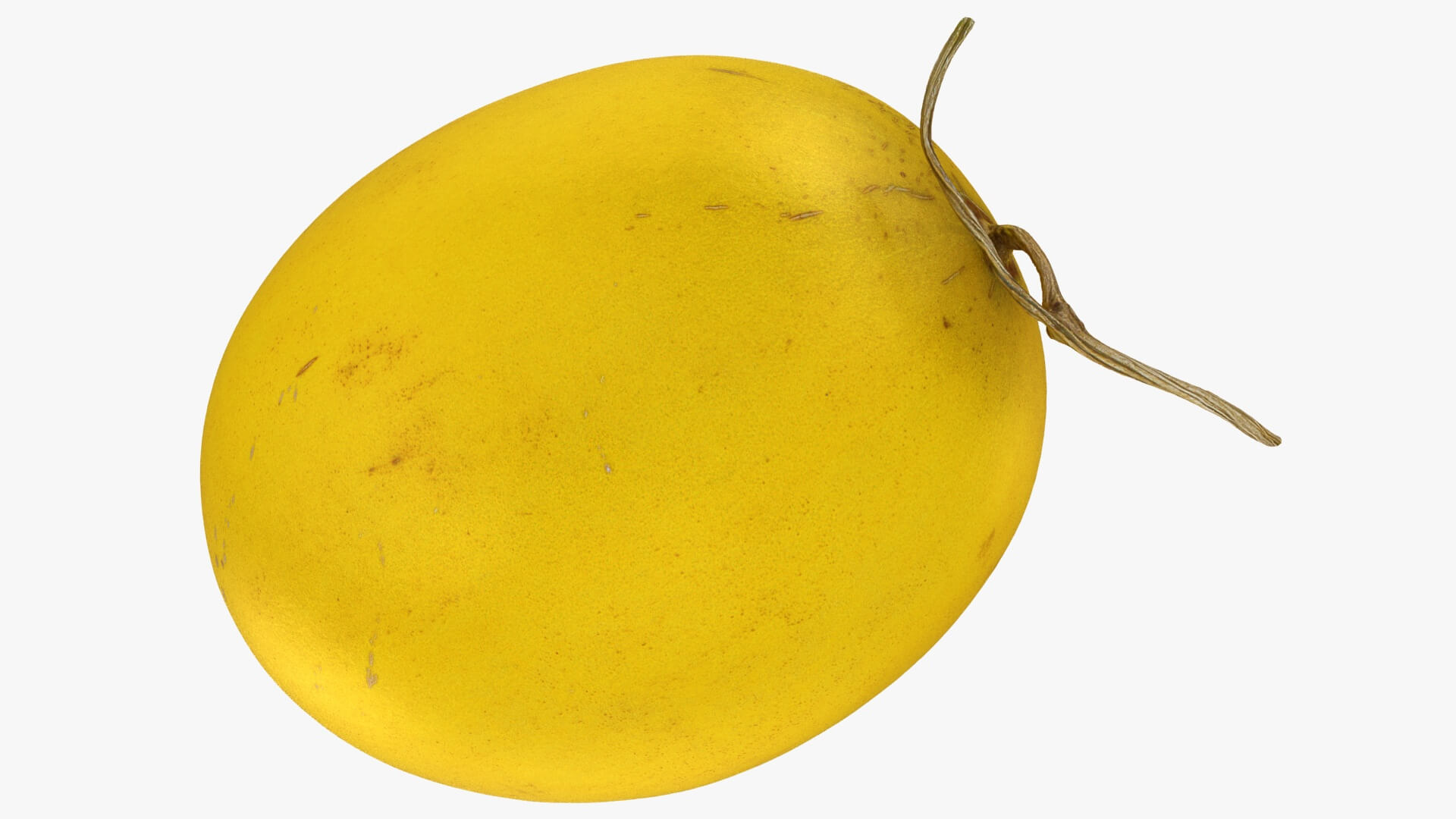 Golden Cantaloupe 3D Model