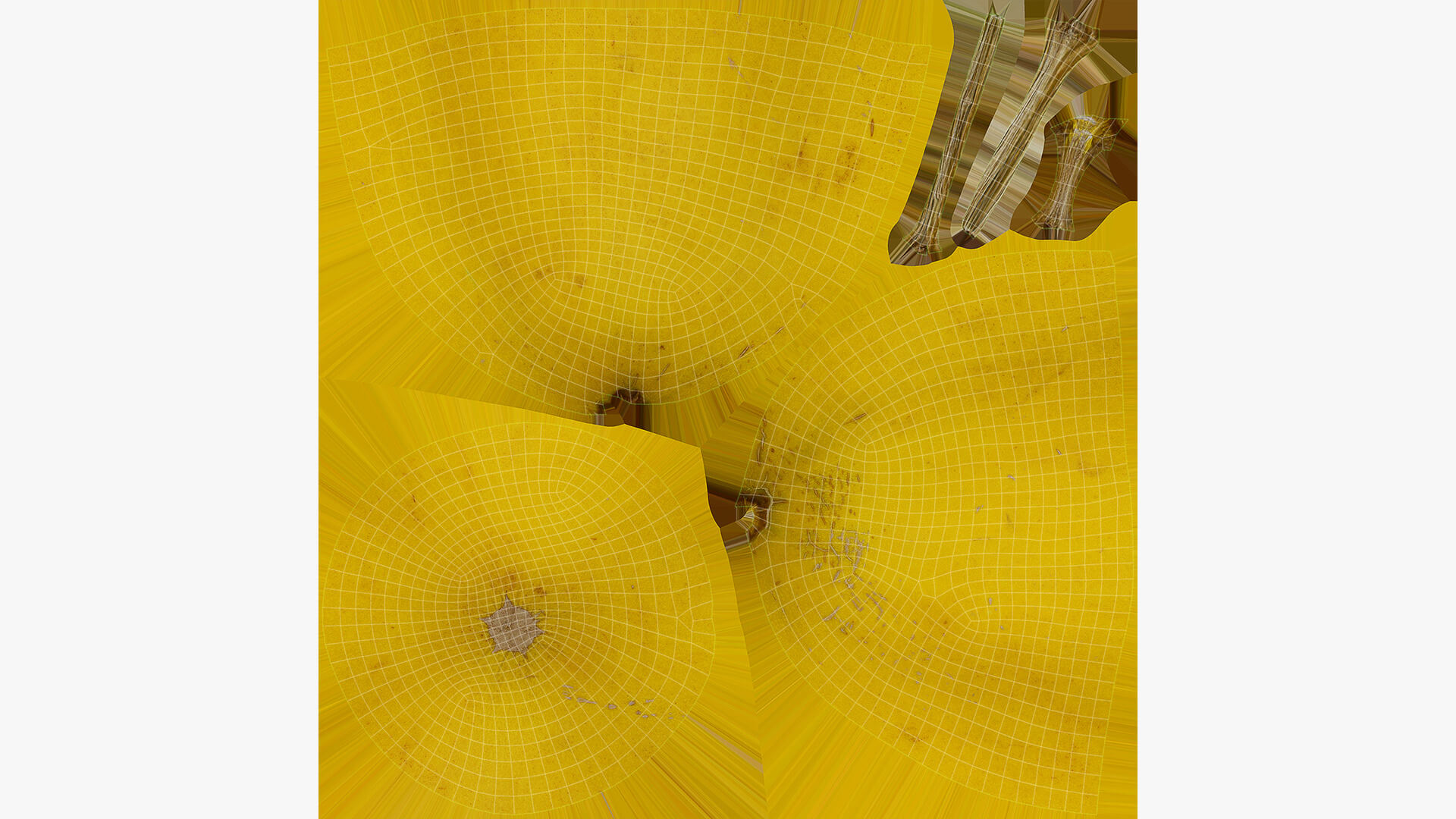 Golden Cantaloupe 3D Model