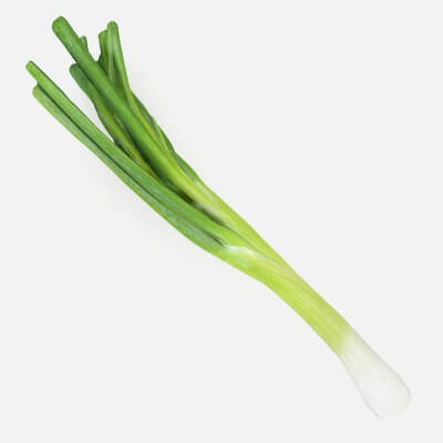 Realistic Green Onion