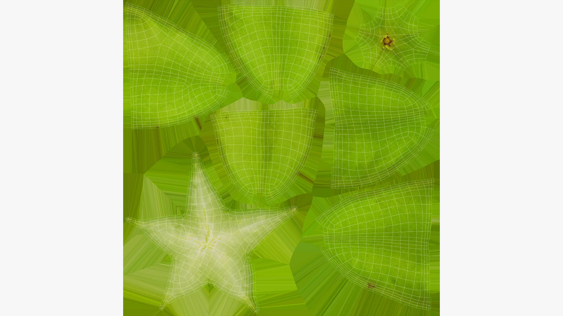 Green Star Fruit and Slice 3D Model