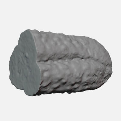 Half A Pickled Cucumber - For 3D Print