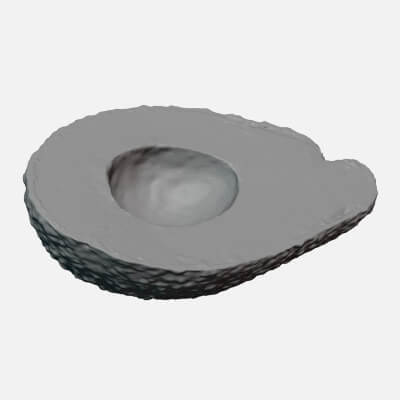 Half Avocado 02 - For 3D Print