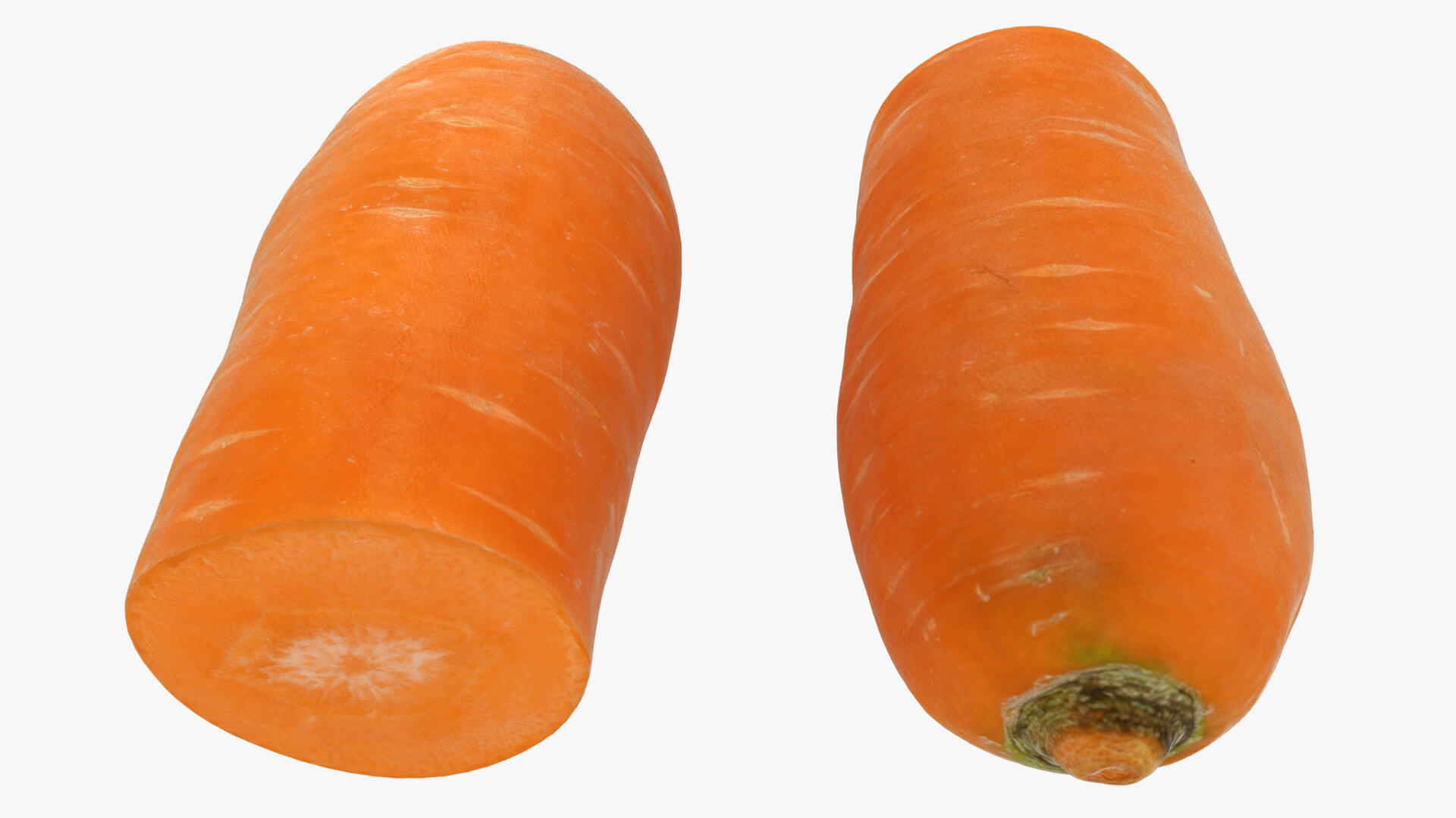 Realistic Half Carrot 3D Model