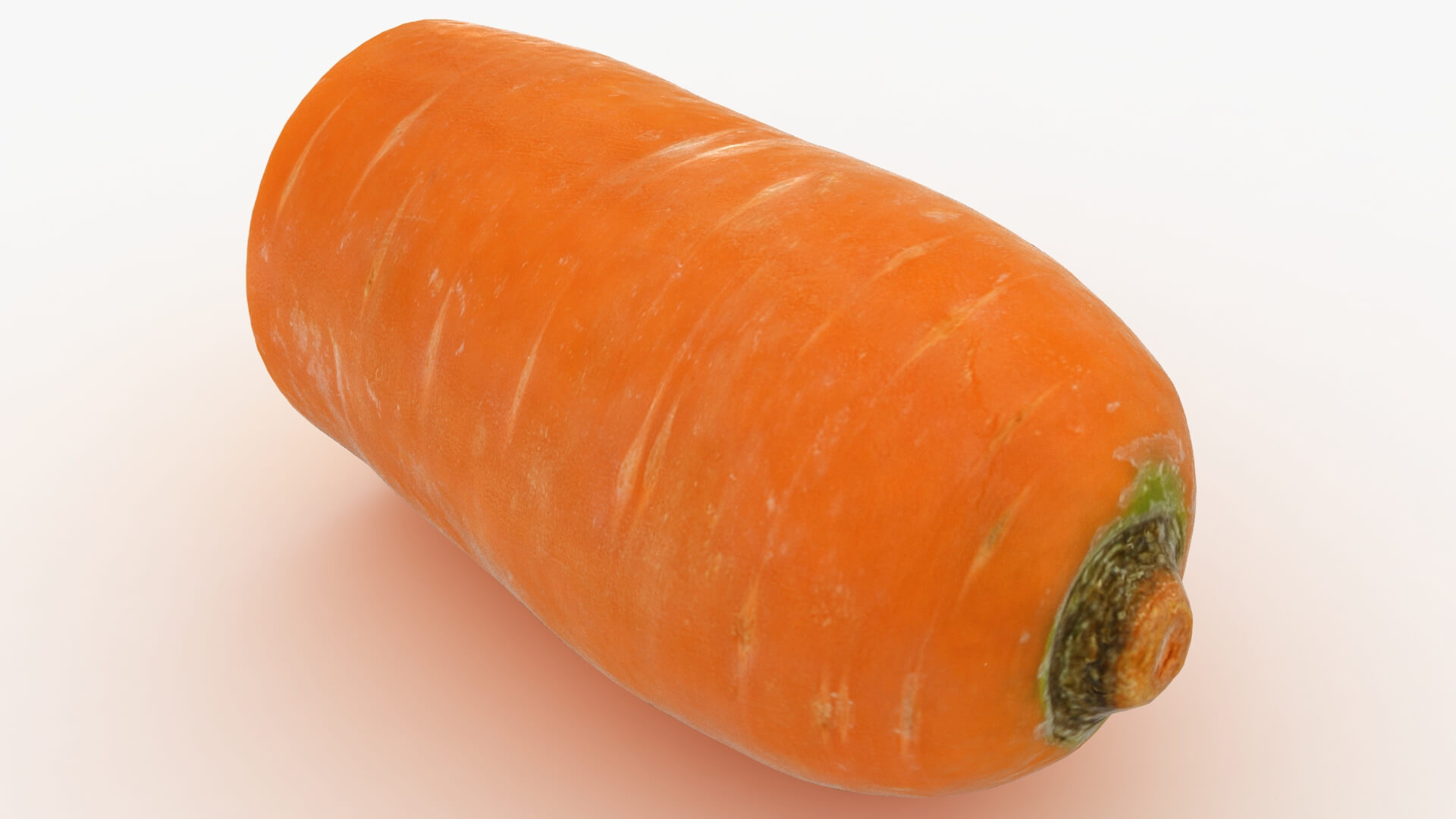 Realistic Half Carrot 3D Model