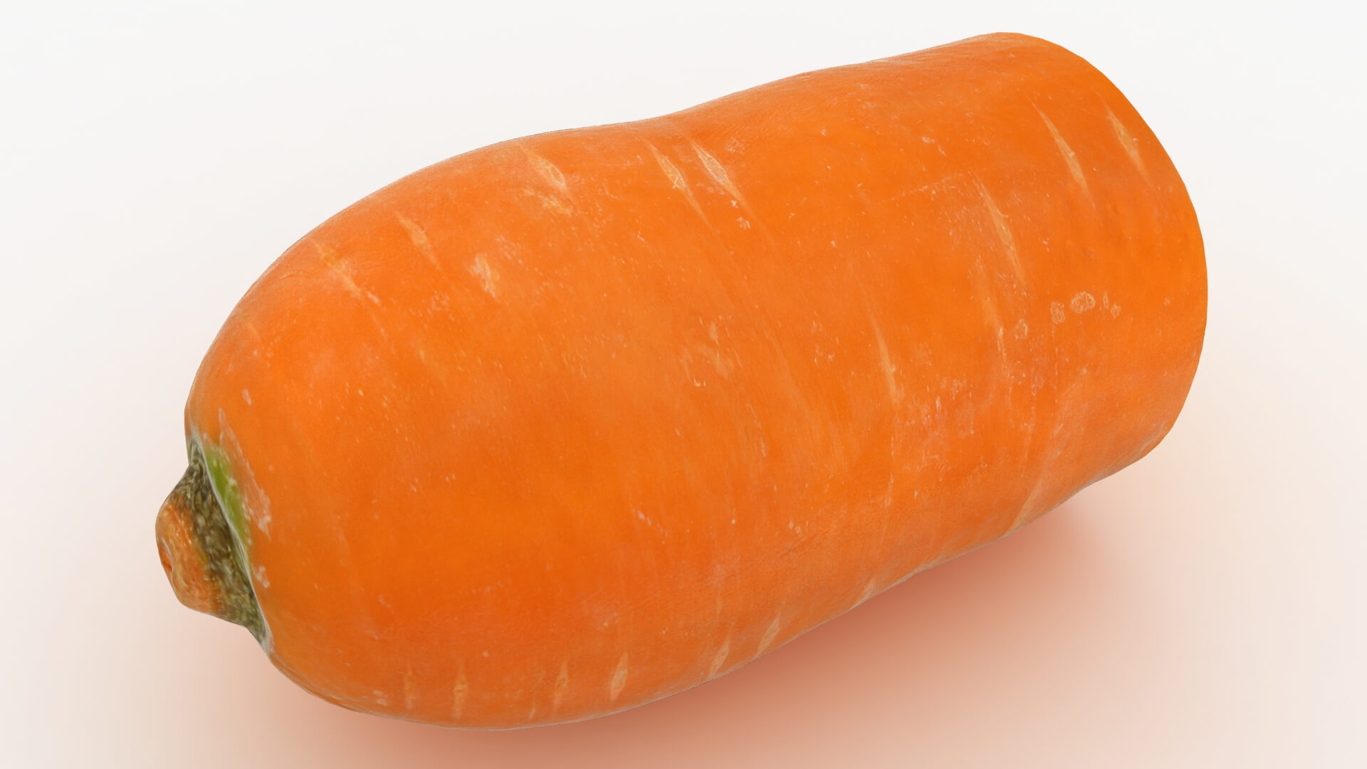 Realistic Half Carrot 3D Model