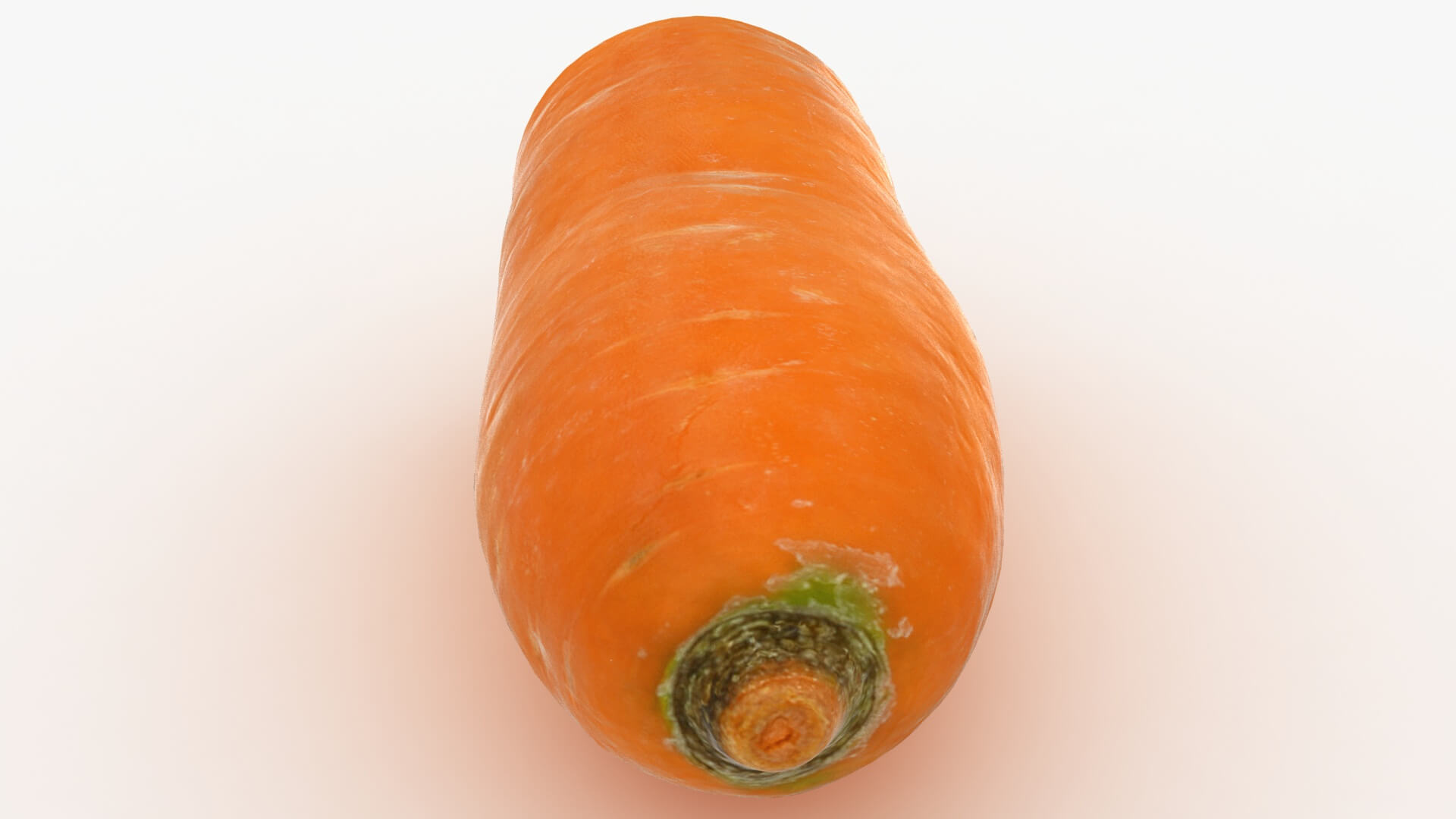 Realistic Half Carrot 3D Model
