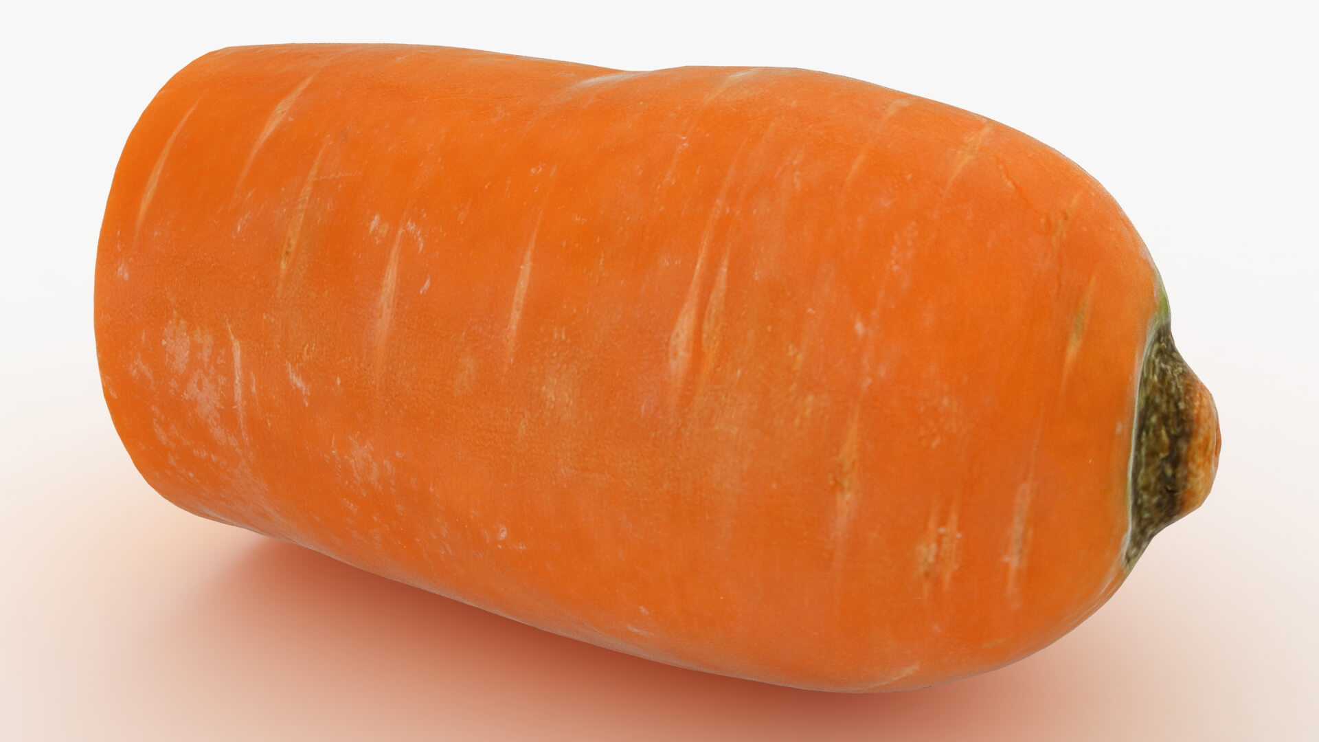 Realistic Half Carrot 3D Model