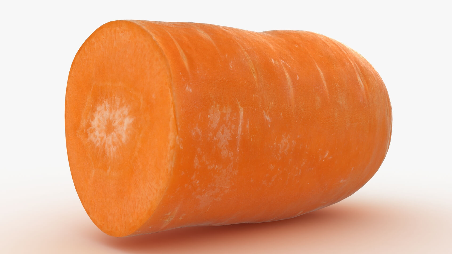 Realistic Half Carrot 3D Model