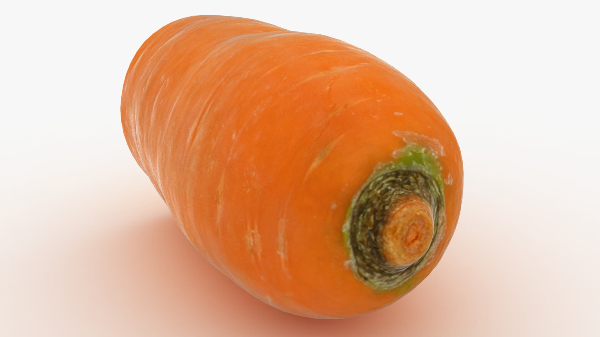 Realistic Half Carrot 3D Model