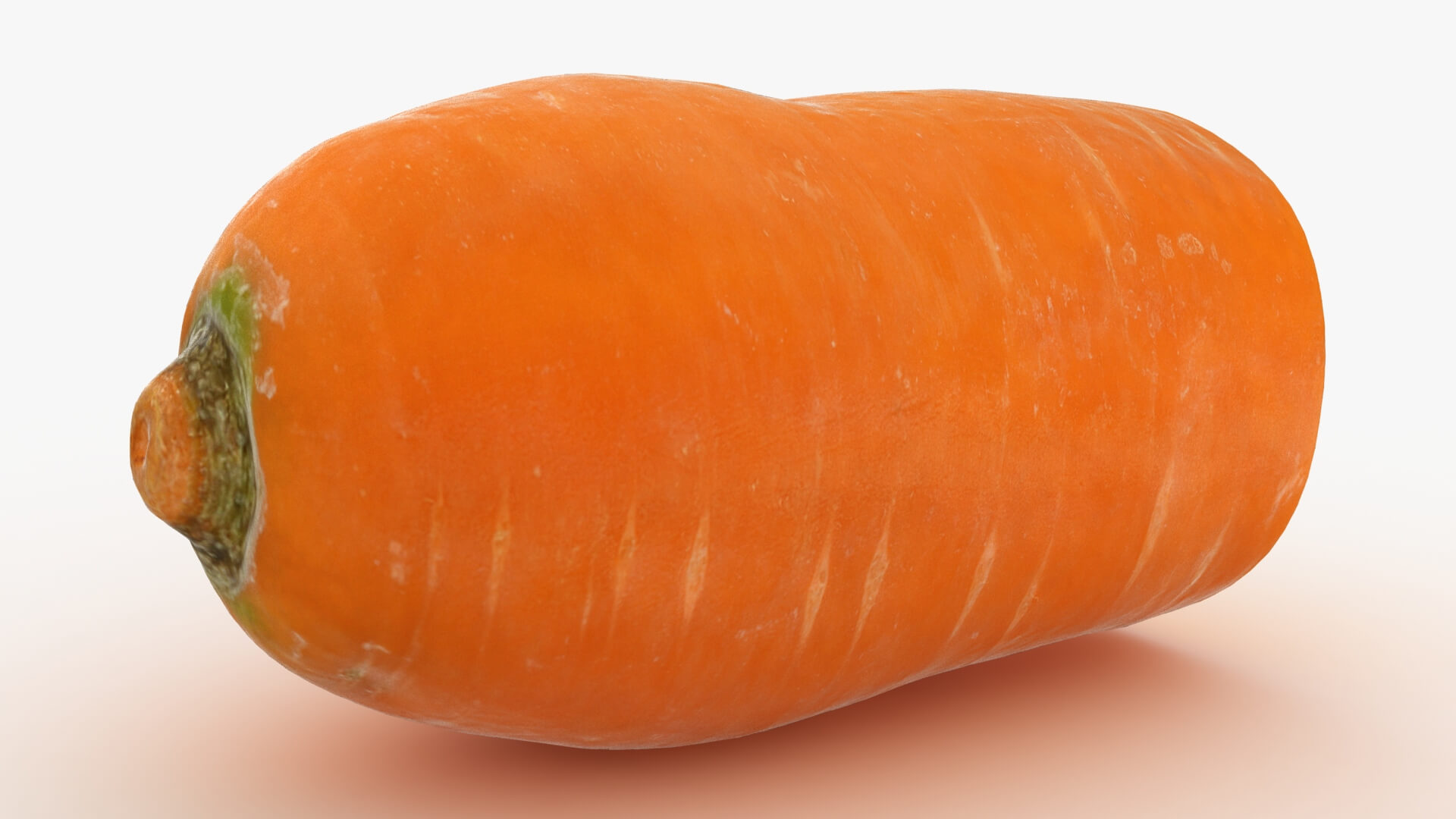 Realistic Half Carrot 3D Model