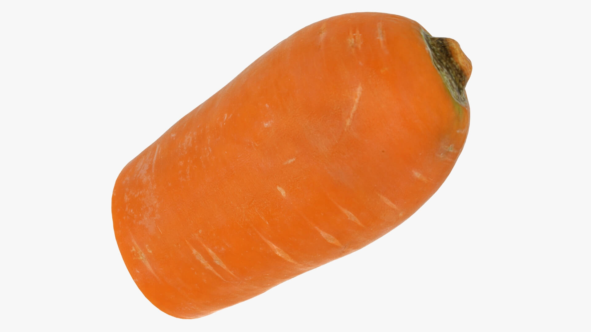 Realistic Half Carrot 3D Model