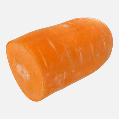 Realistic Half Carrot