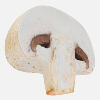 Half Champignon Mushroom