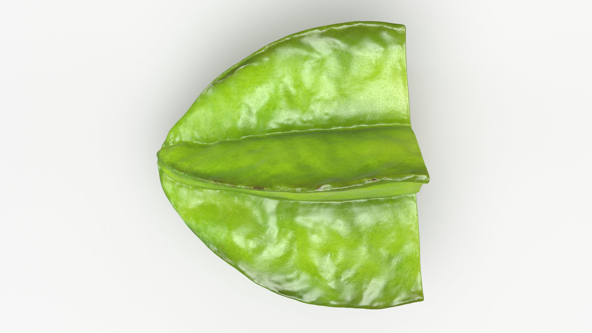 Half Cut Star Fruit 3D Model