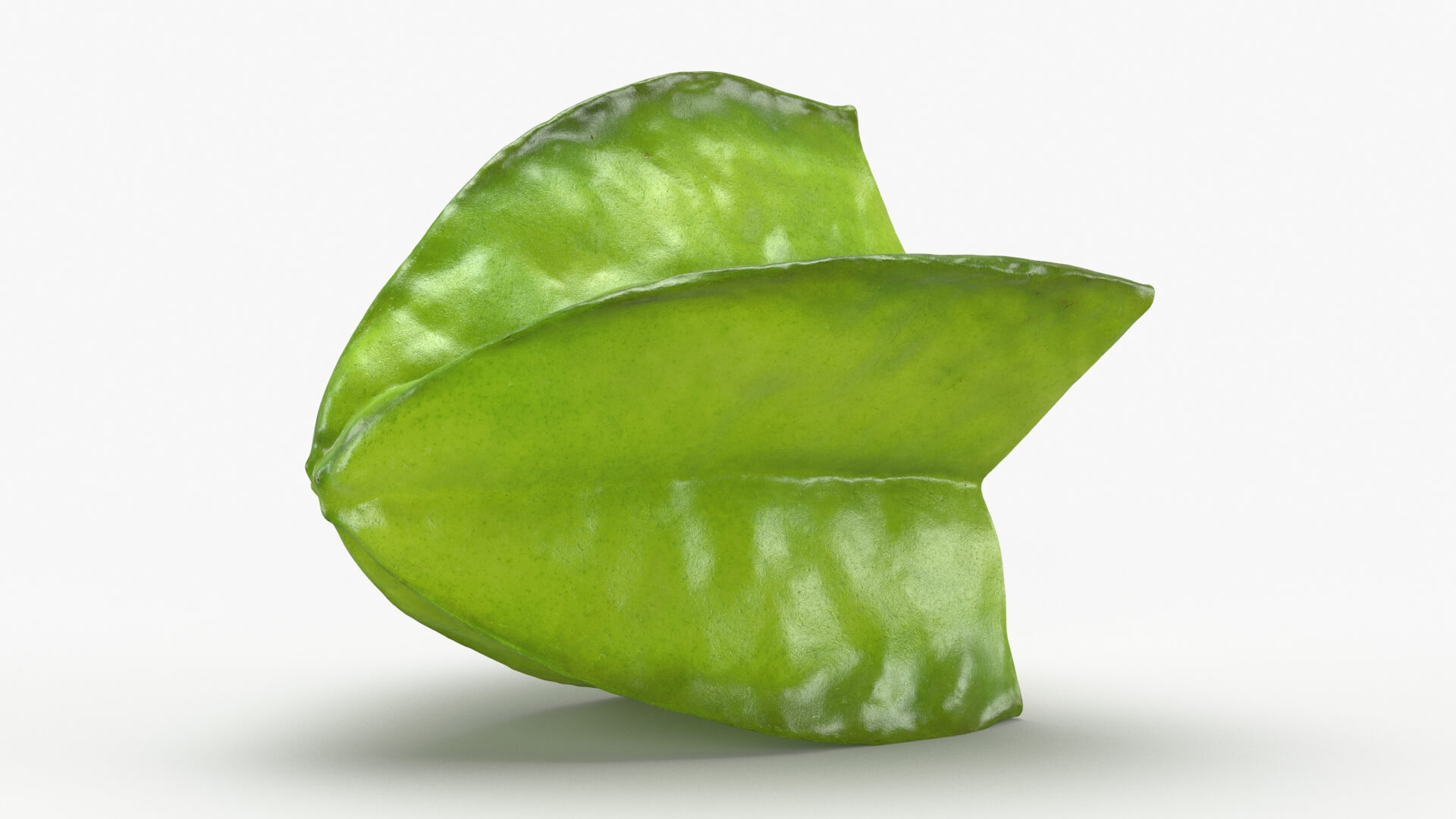 Half Cut Star Fruit 3D Model