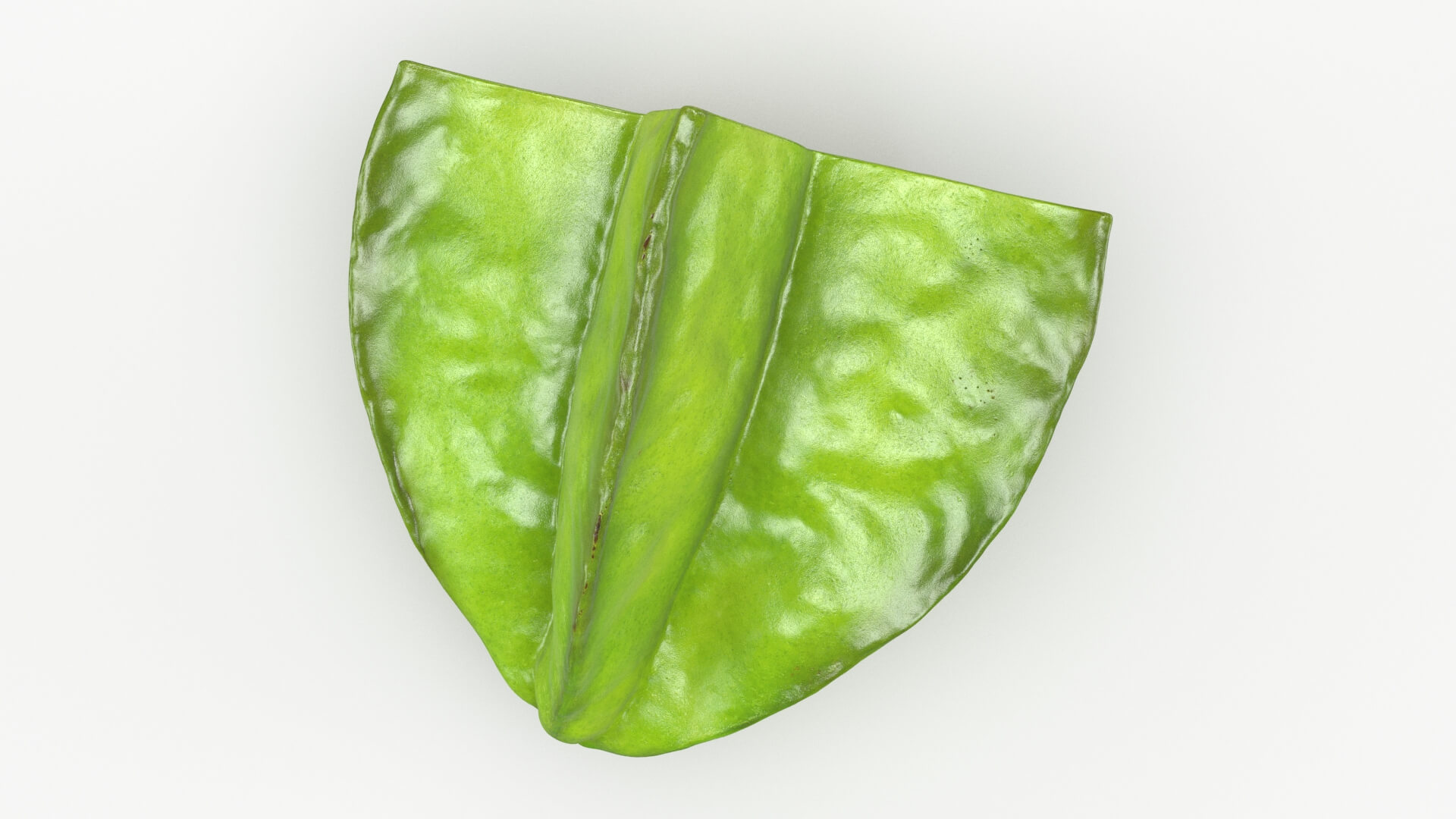 Half Cut Star Fruit 3D Model