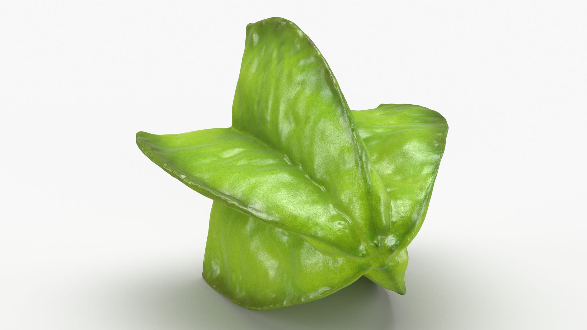Half Cut Star Fruit 3D Model