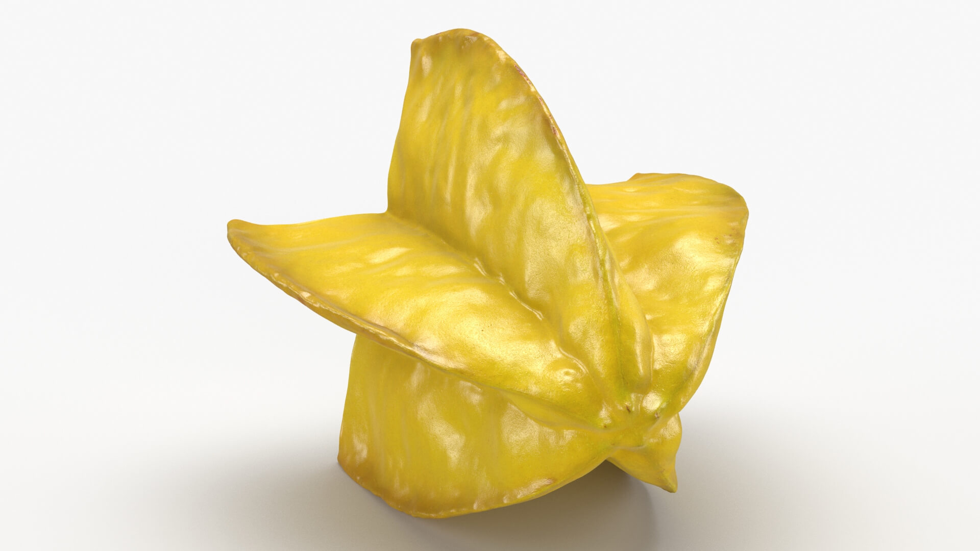 Half Cut Star Fruit 3D Model