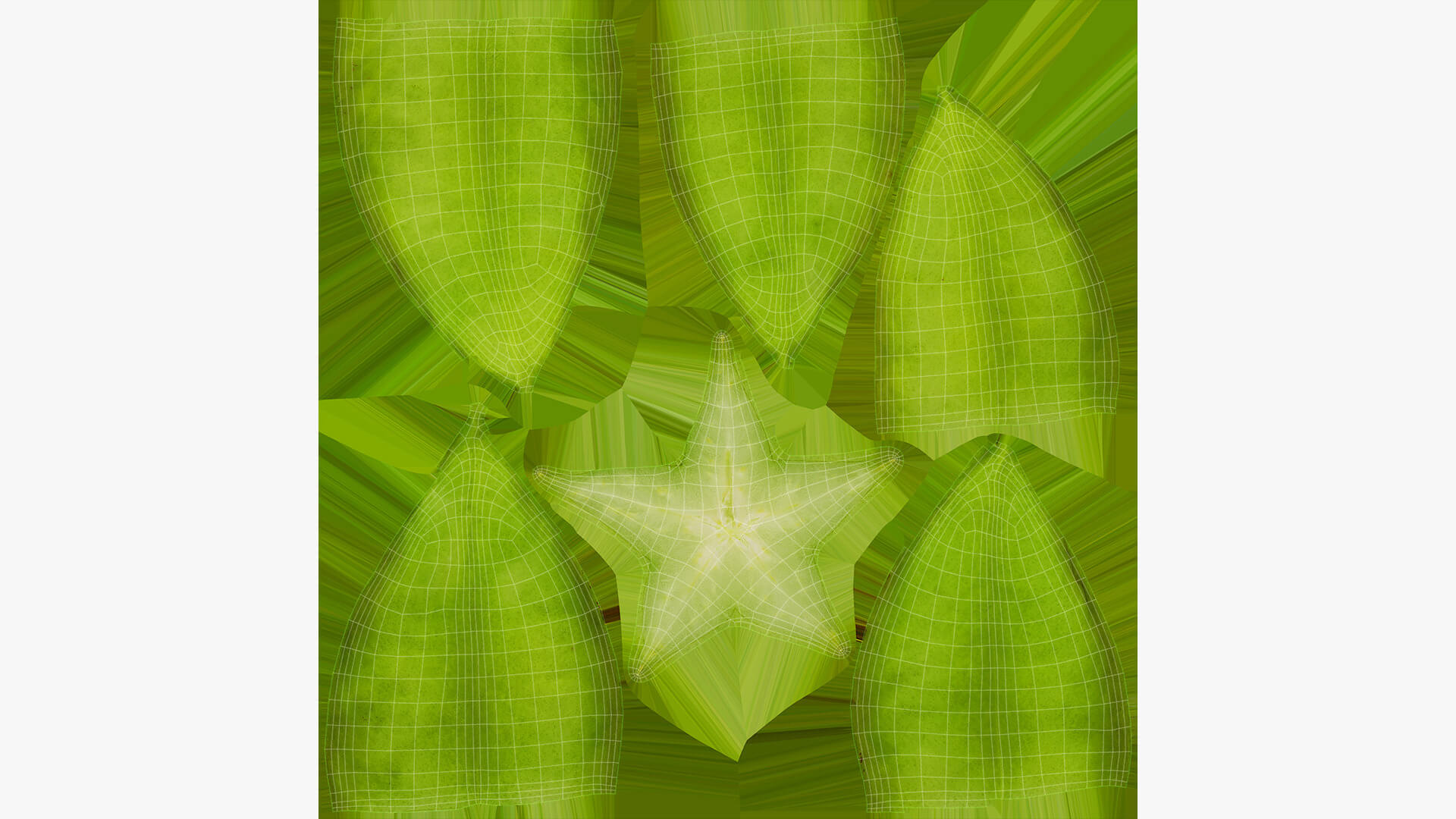 Half Cut Star Fruit 3D Model