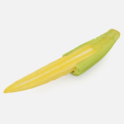 Half of Baby Corn