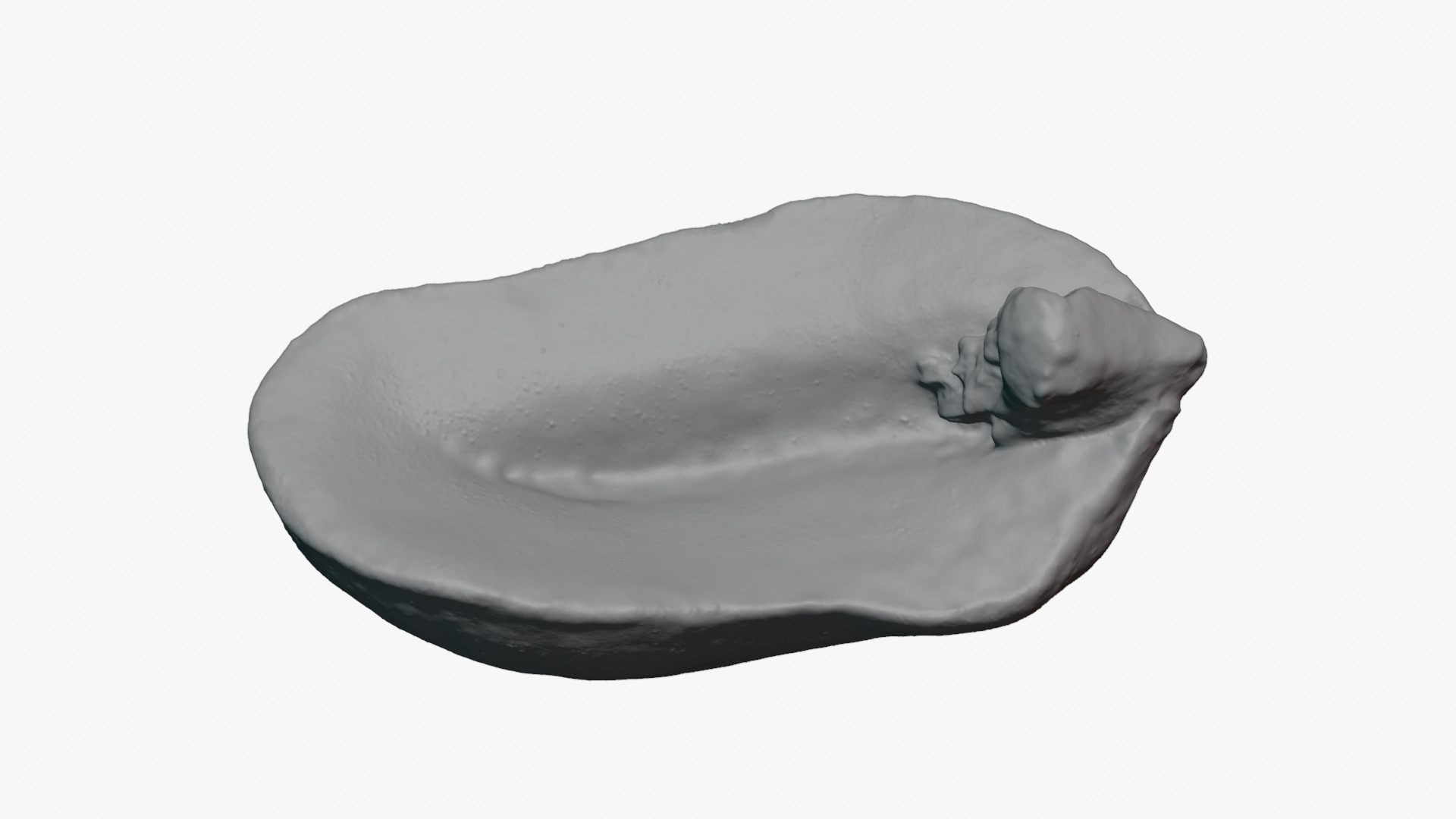 Half Peeled Peanut 01 - For 3D Print 3D Model