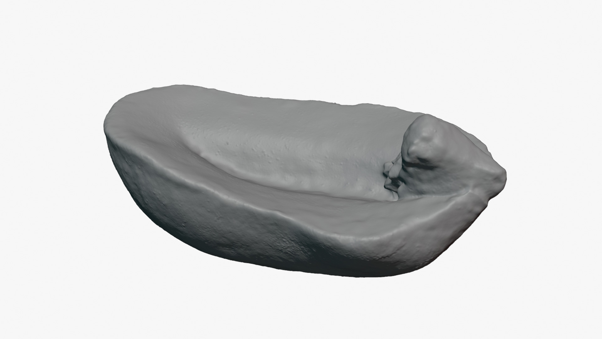 Half Peeled Peanut 01 - For 3D Print 3D Model
