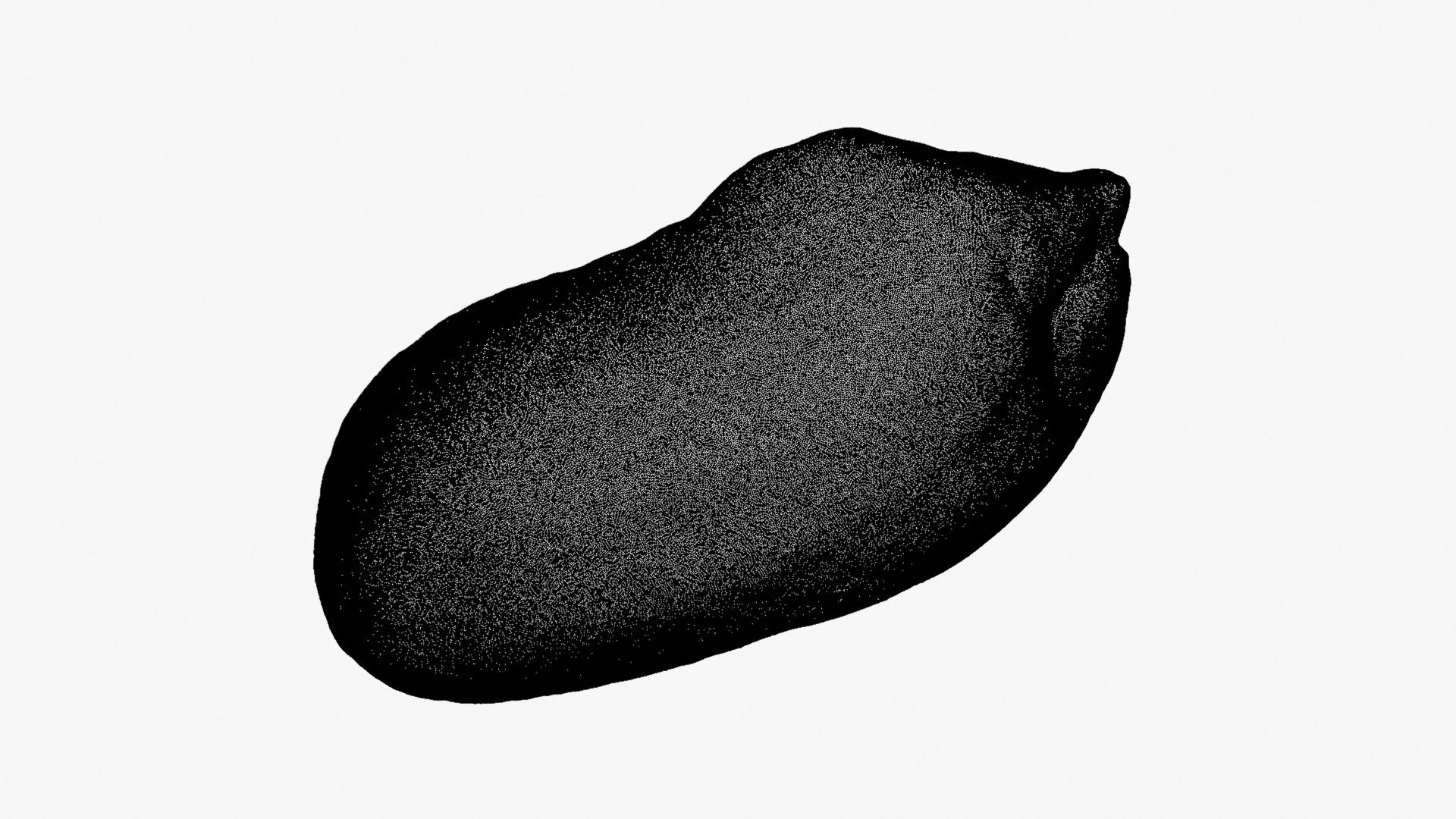 Half Peeled Peanut 01 - For 3D Print 3D Model