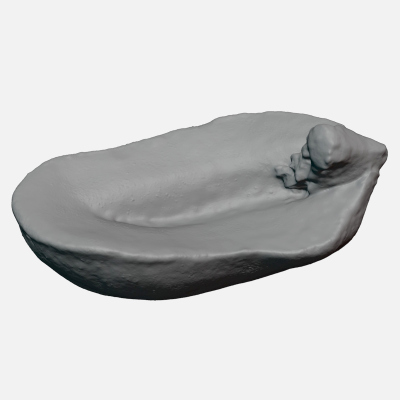Half Peeled Peanut 01 - For 3D Print 3D Model