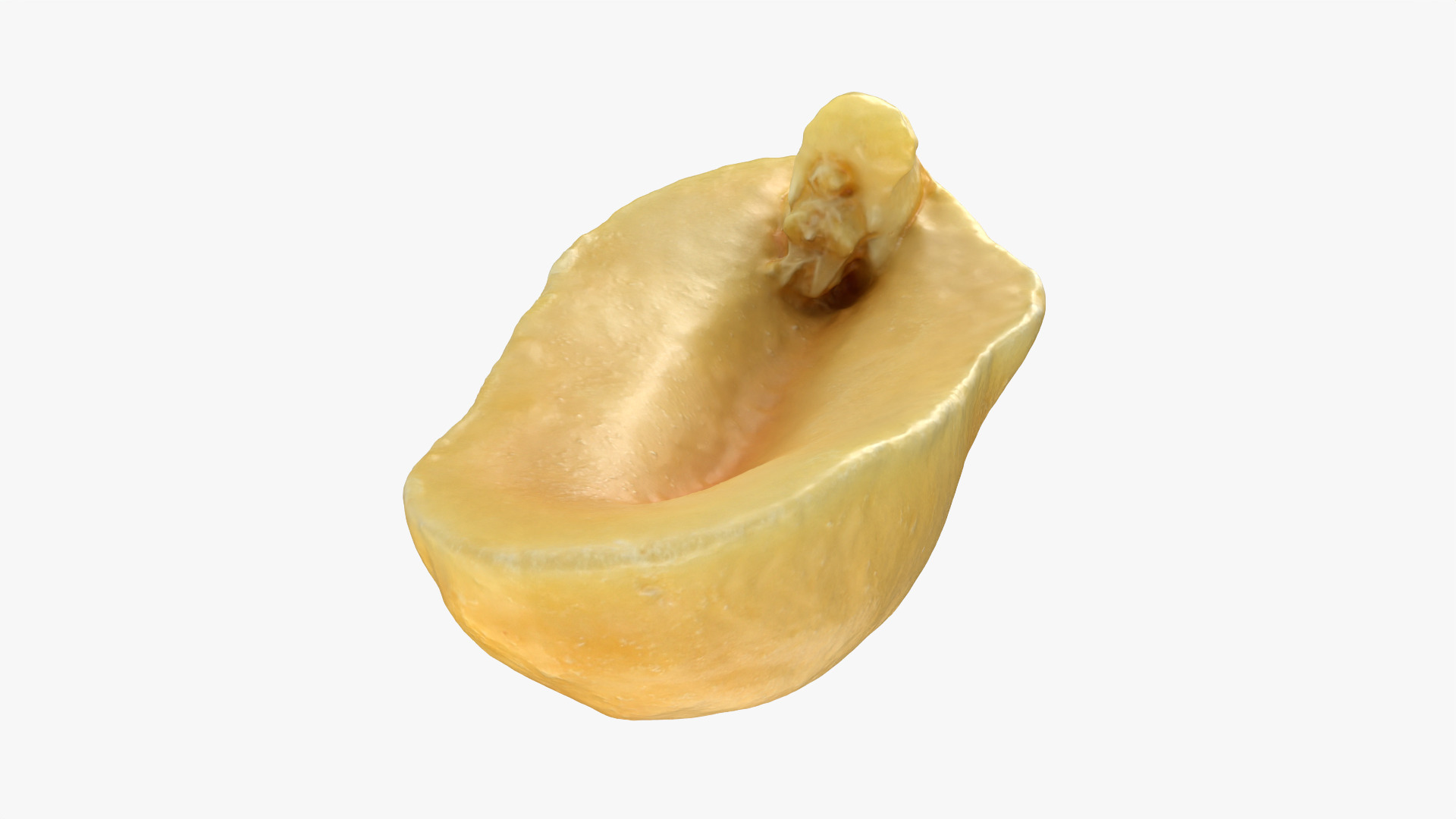 Half Peeled Peanut 01 3D Model