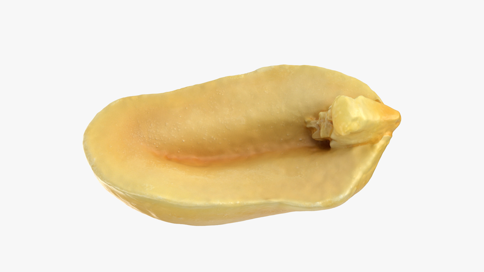 Half Peeled Peanut 01 3D Model