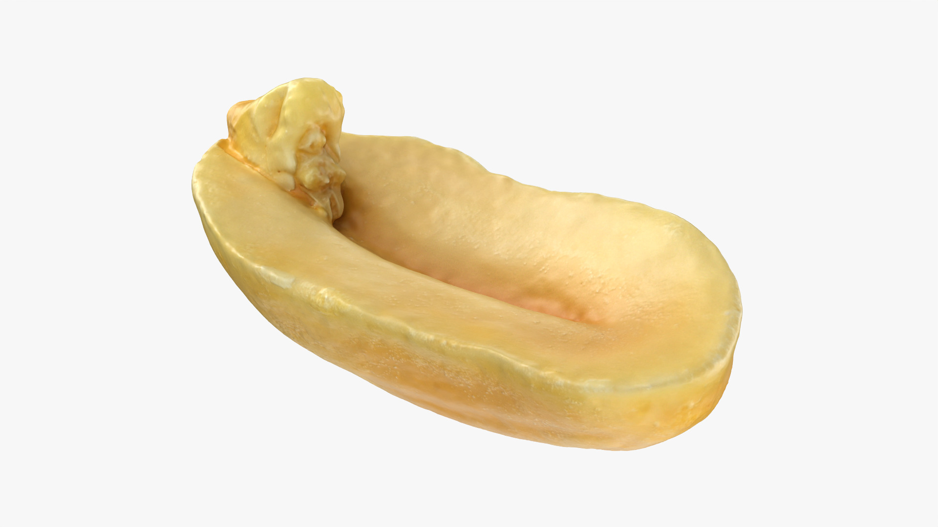 Half Peeled Peanut 01 3D Model