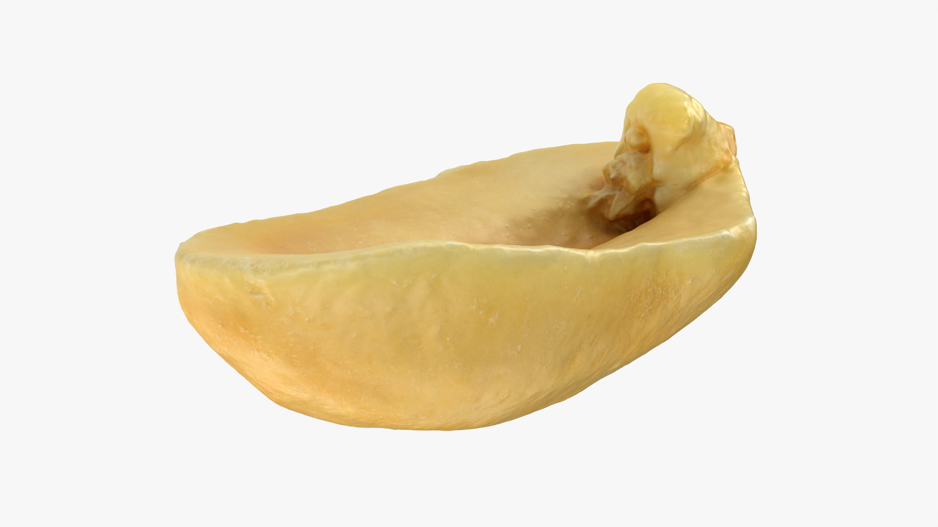 Half Peeled Peanut 01 3D Model