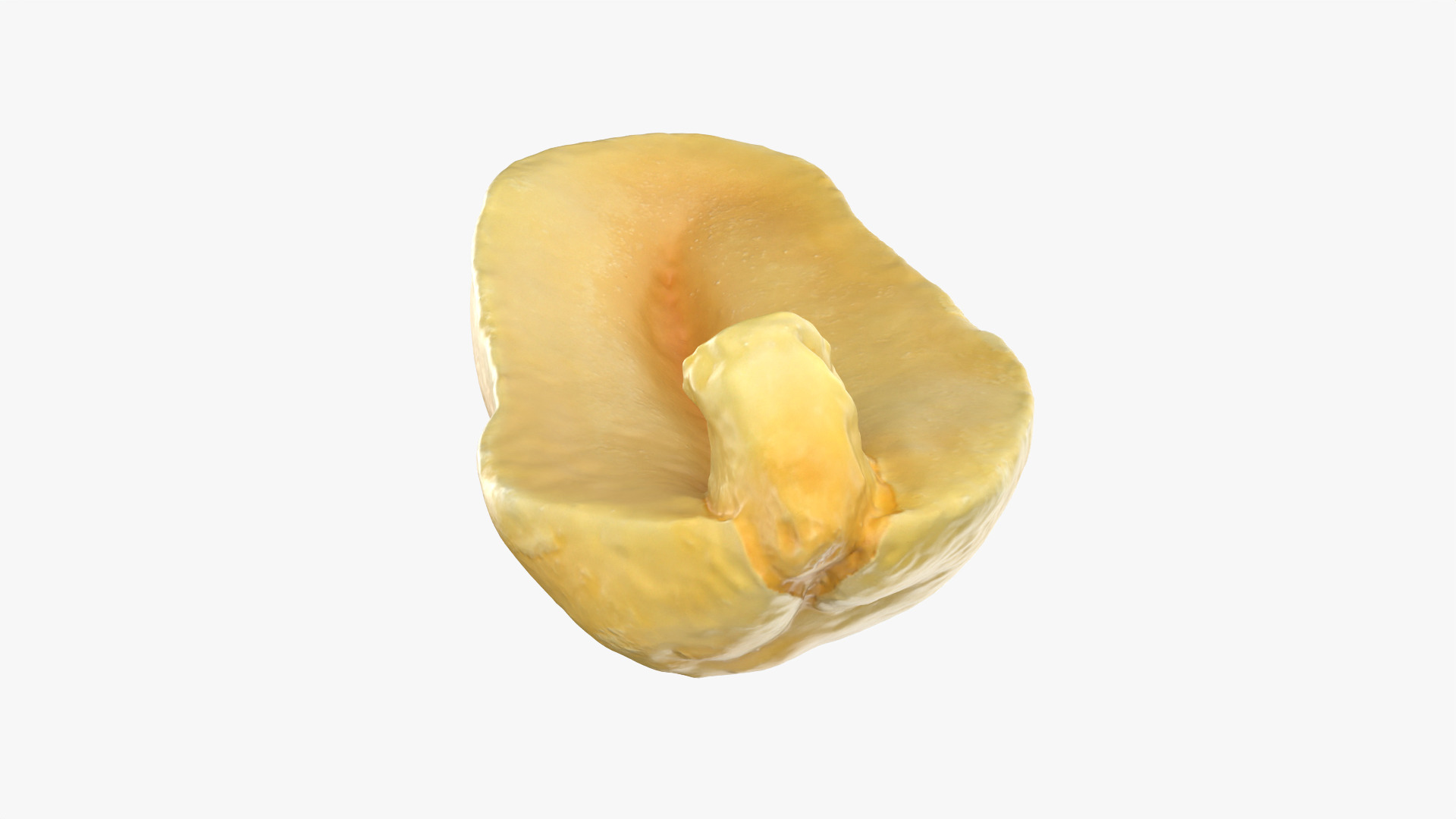 Half Peeled Peanut 01 3D Model