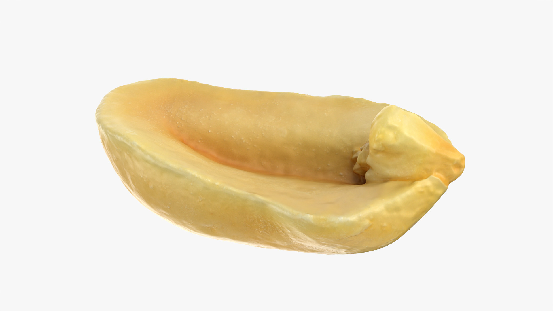 Half Peeled Peanut 01 3D Model