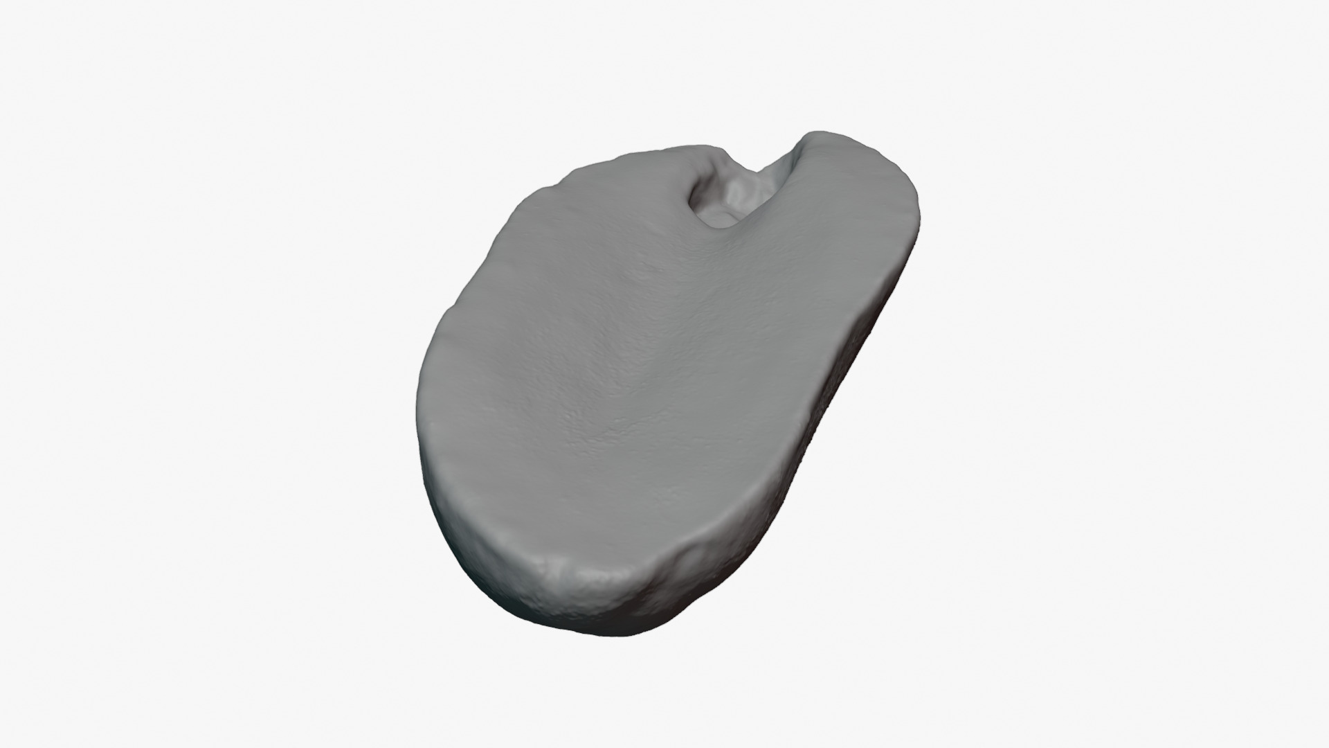 Half Peeled Peanut 02 - For 3D Print 3D Model