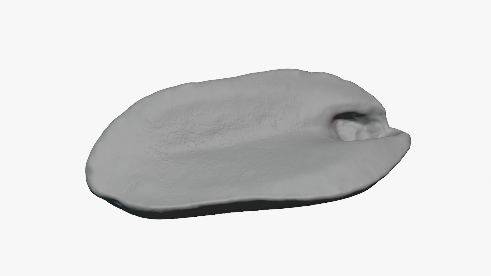Half Peeled Peanut 02 - For 3D Print 3D Model