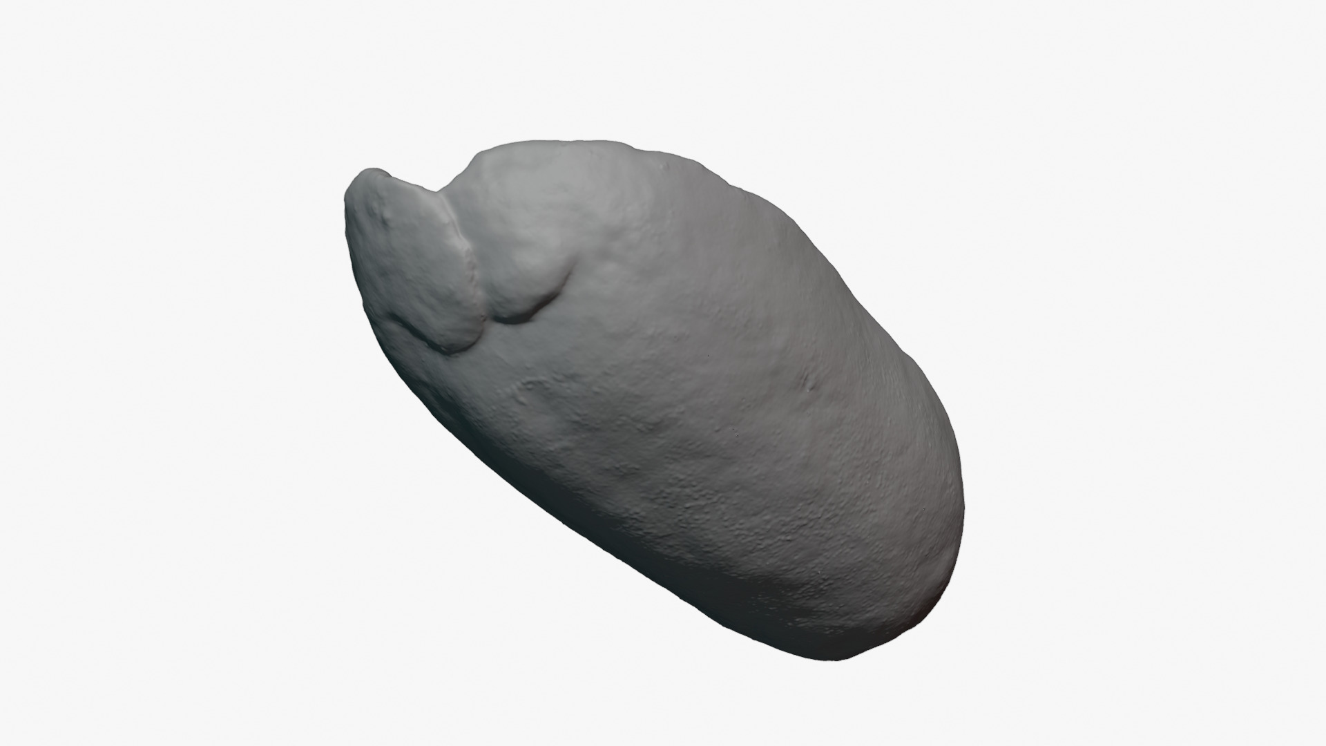 Half Peeled Peanut 02 - For 3D Print 3D Model