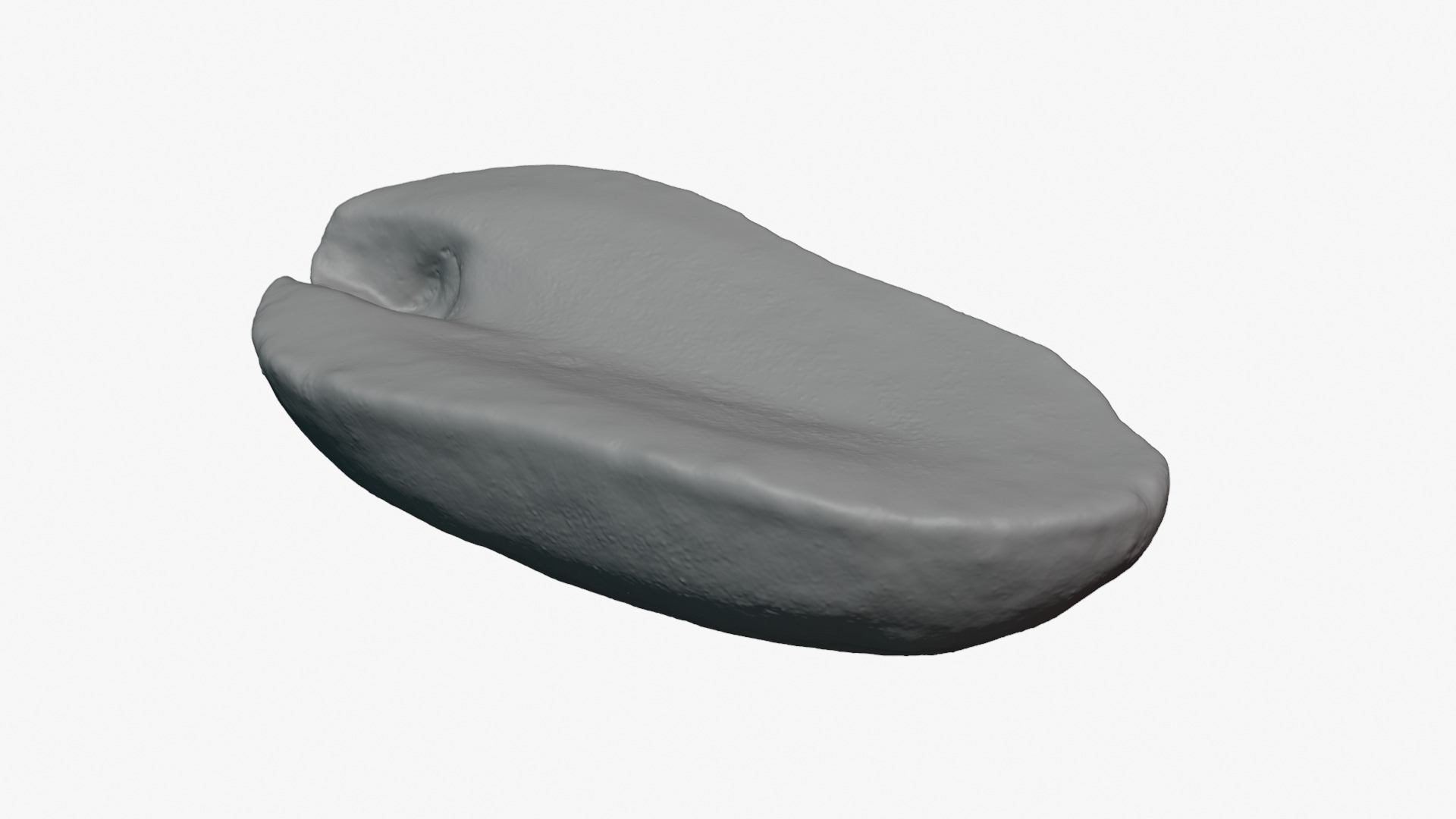 Half Peeled Peanut 02 - For 3D Print 3D Model