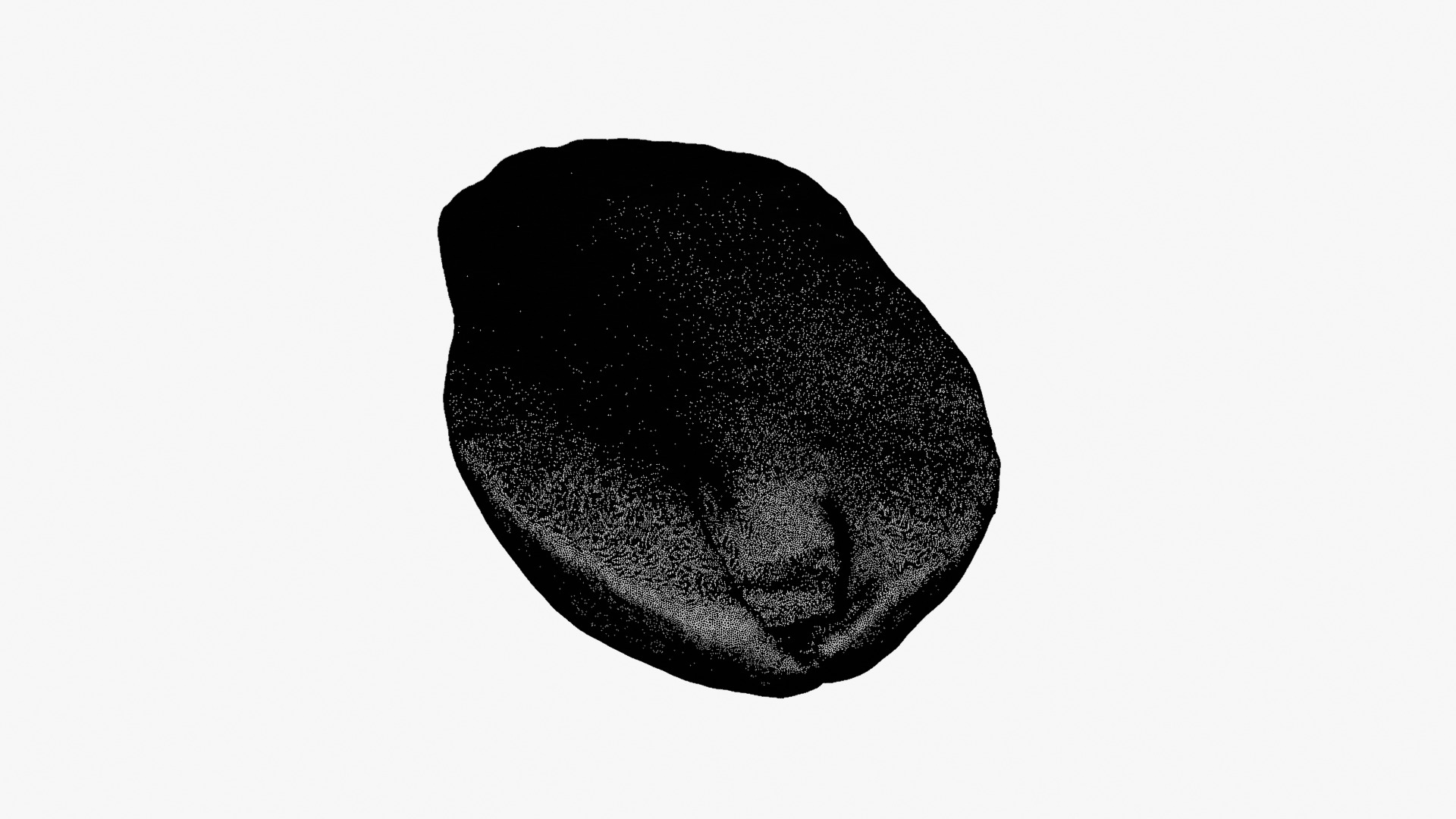 Half Peeled Peanut 02 - For 3D Print 3D Model