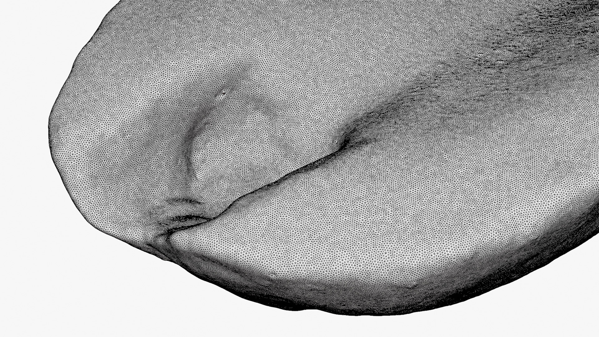 Half Peeled Peanut 02 - For 3D Print 3D Model