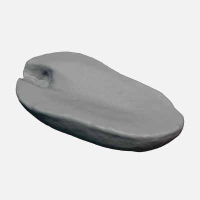 Half Peeled Peanut 02 - For 3D Print 3D Model