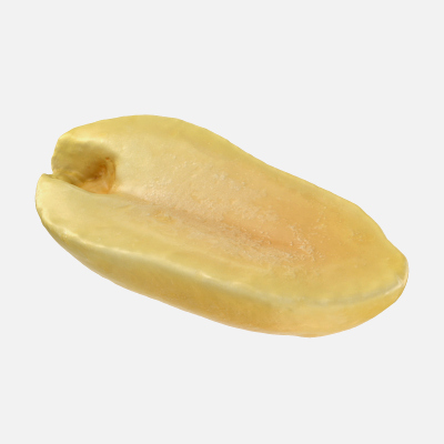Half Peeled Peanut 02 3D Model