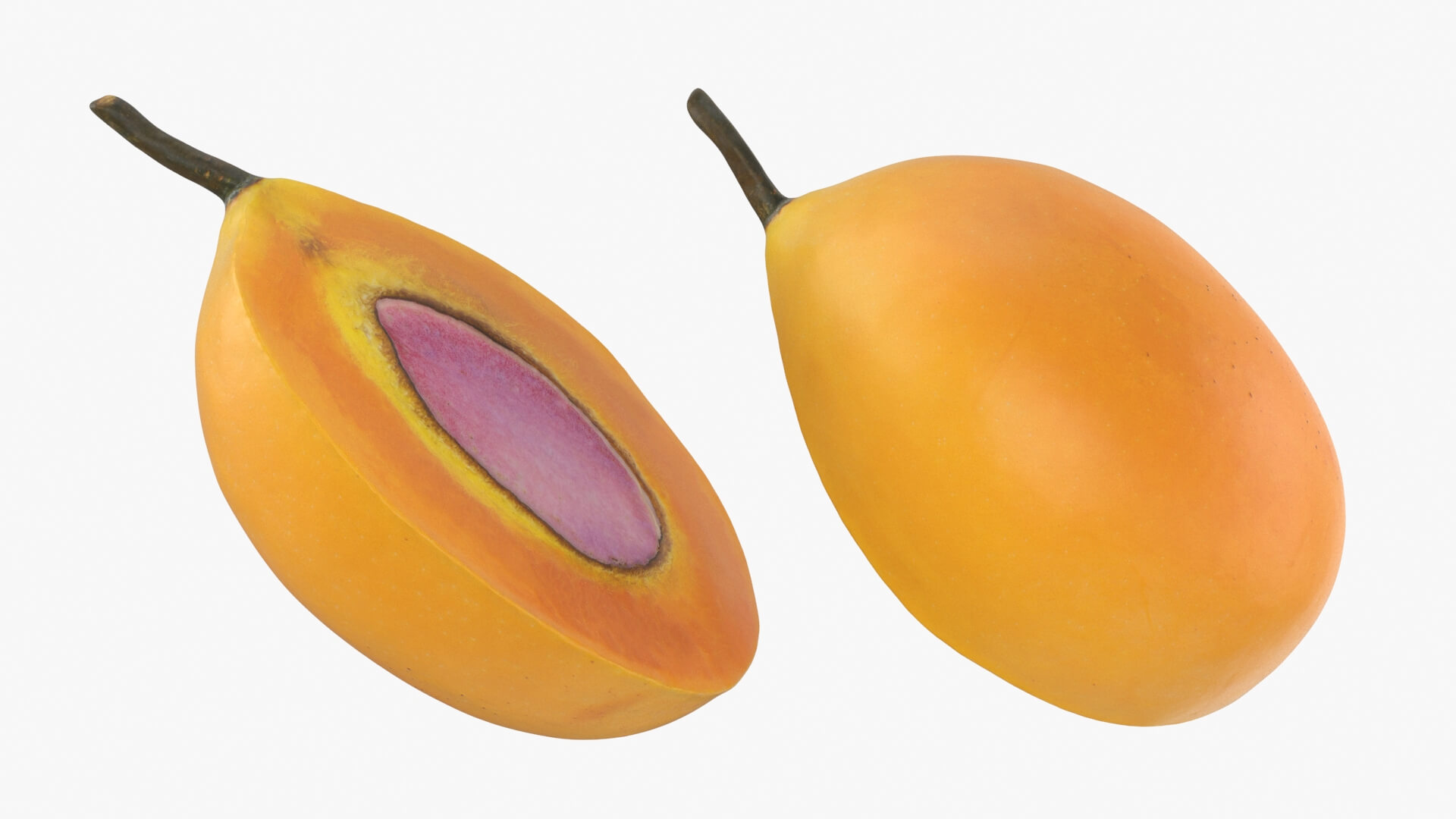 Half Sweet Marian Plum 3D Model
