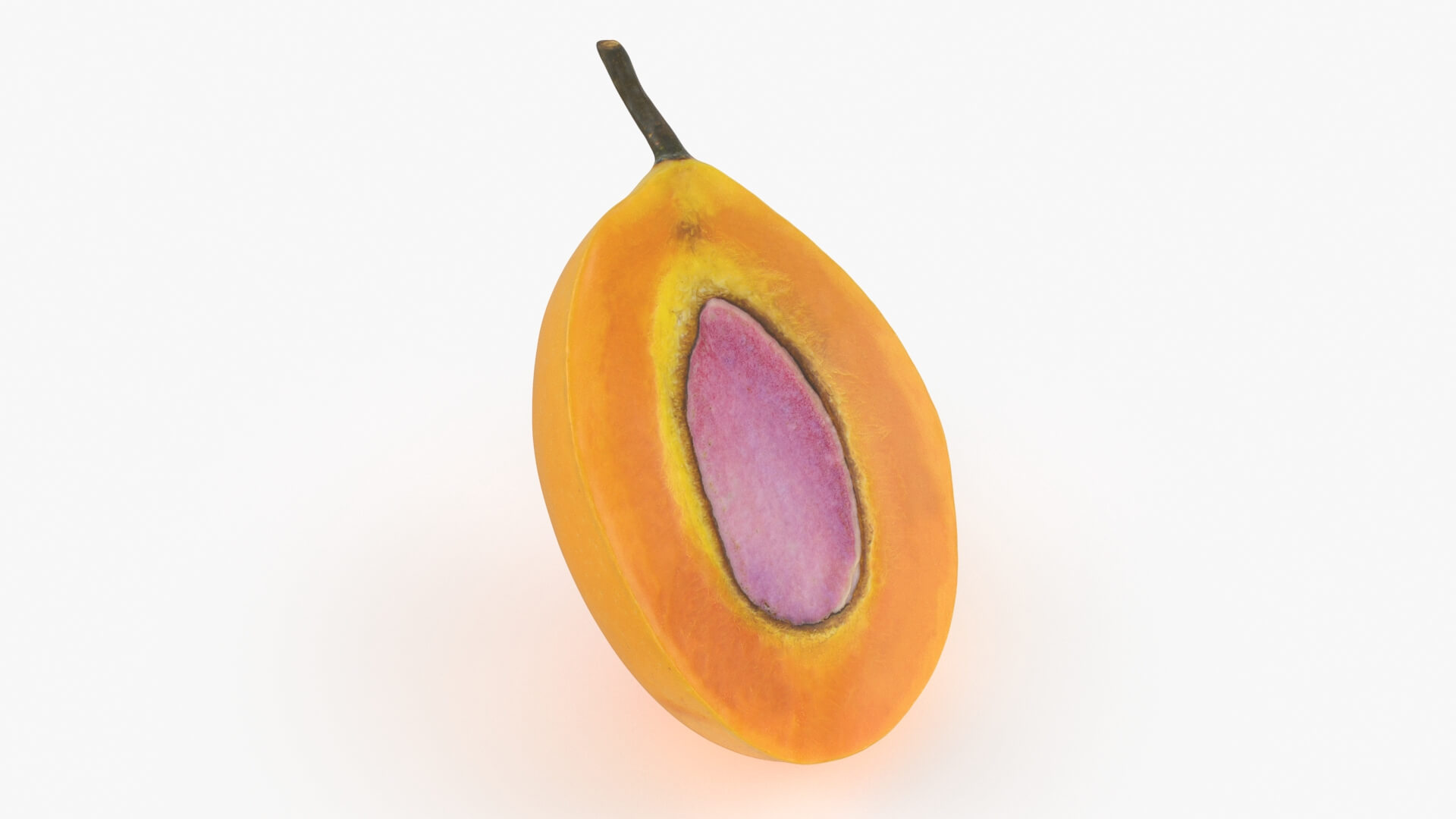 Half Sweet Marian Plum 3D Model