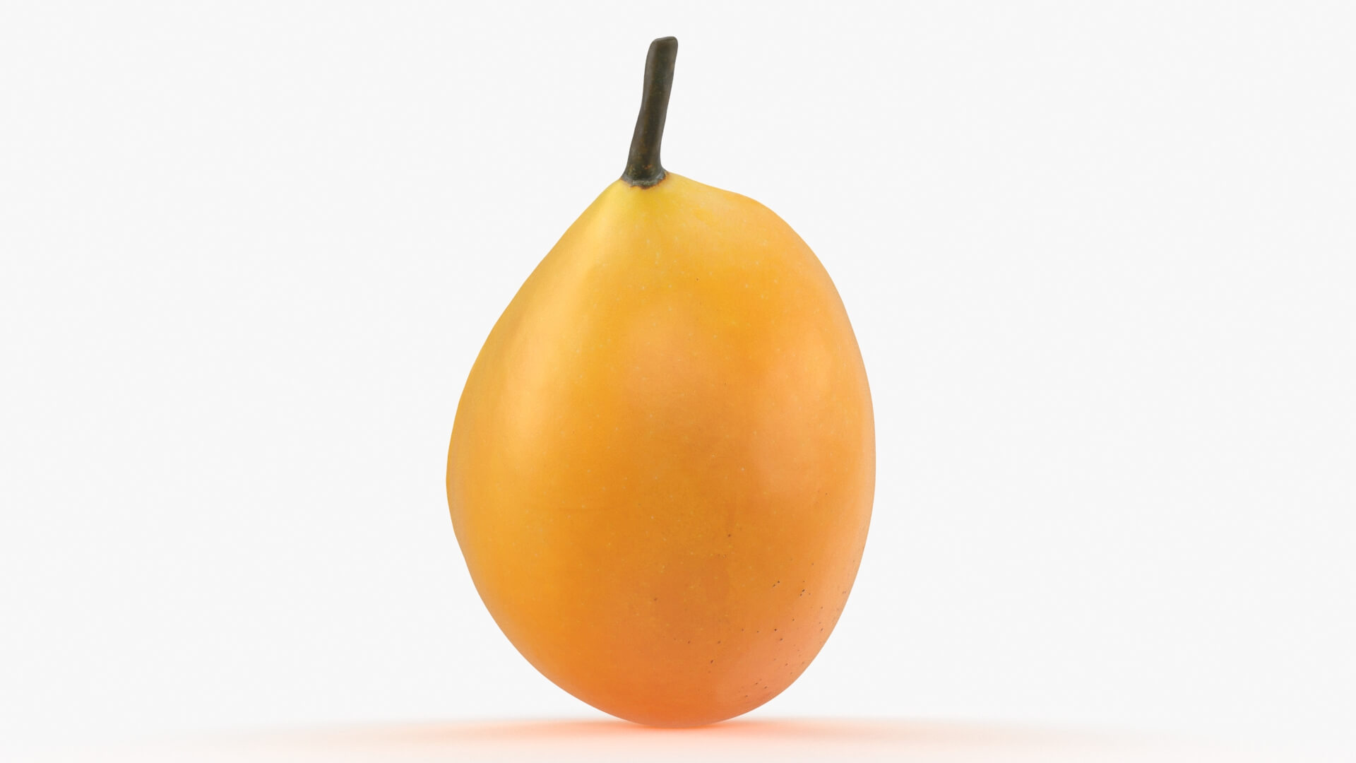 Half Sweet Marian Plum 3D Model