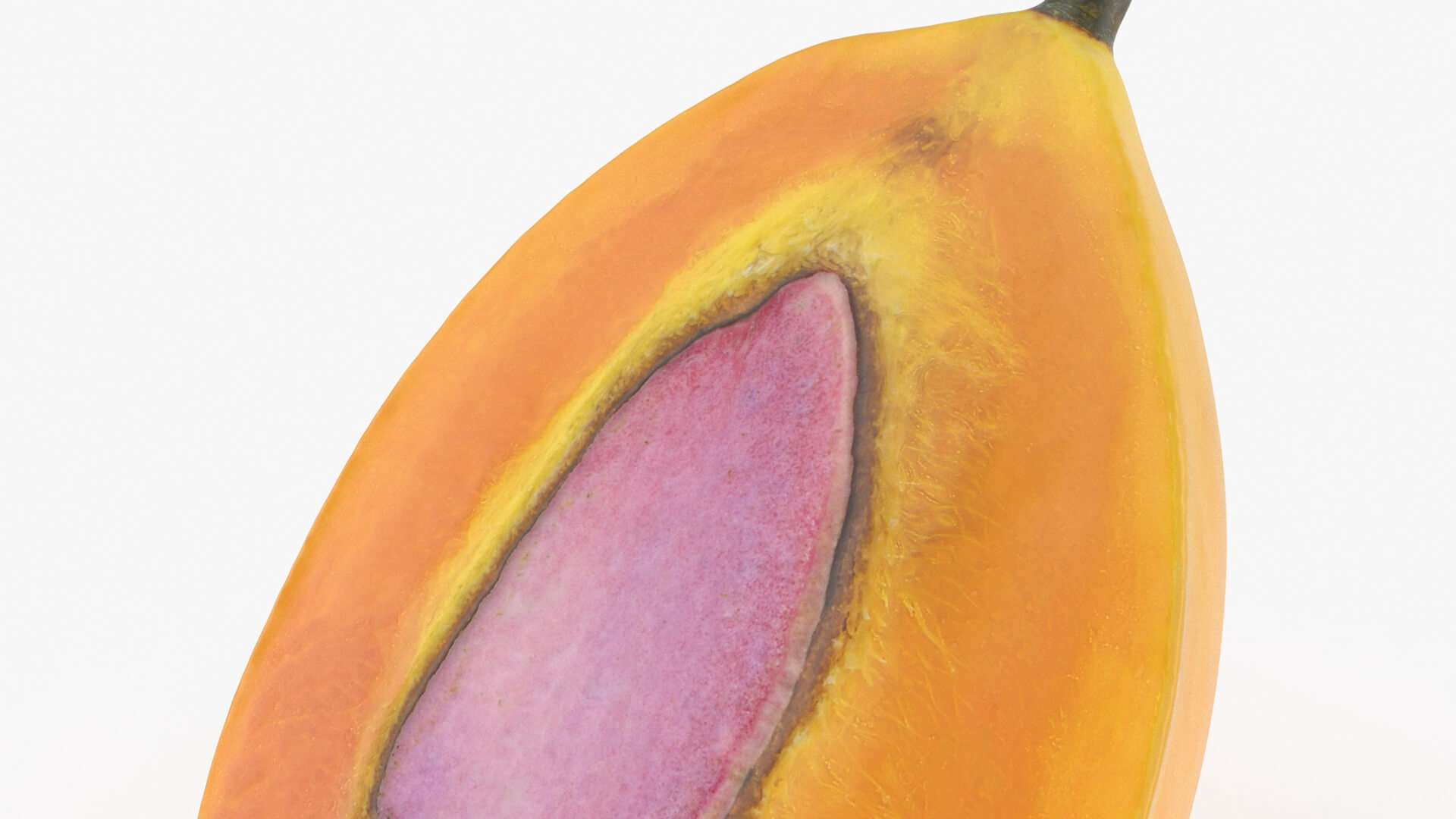 Half Sweet Marian Plum 3D Model