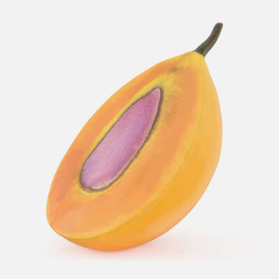 Half Sweet Marian Plum