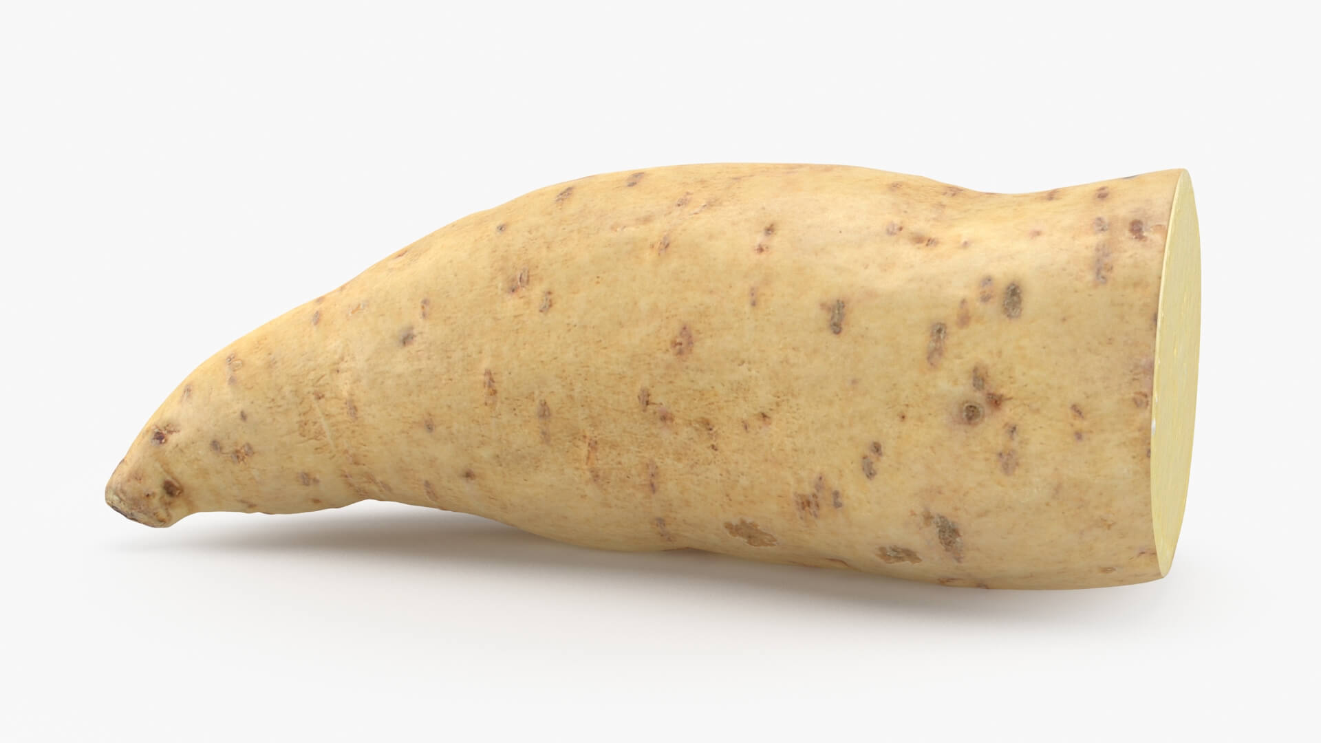Half Sweet Potato 01 3D Model